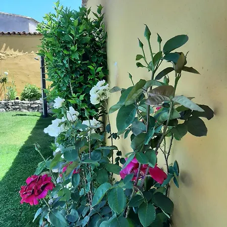 Holiday home Casa Caete Torquemada