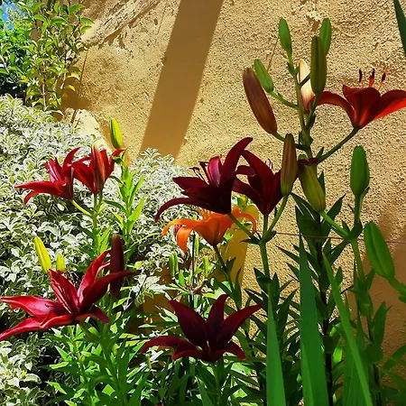 Casa Caete Vakantiehuis