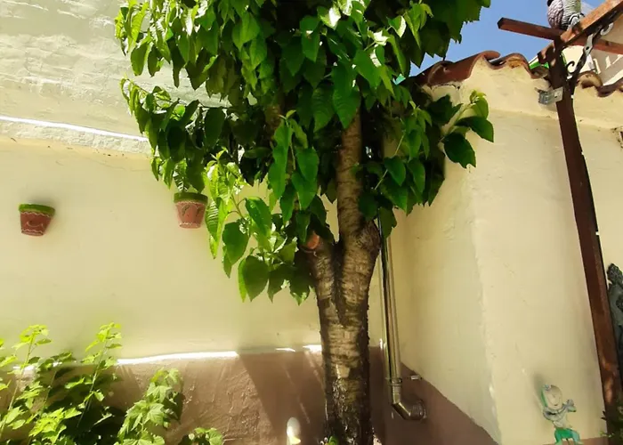 Casa Caete Torquemada