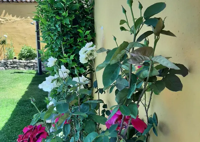 Vakantiehuis Casa Caete Torquemada