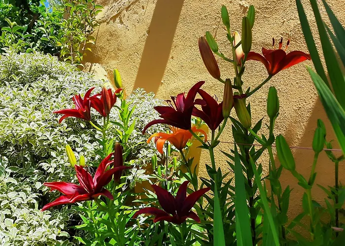 Casa Caete Vakantiehuis